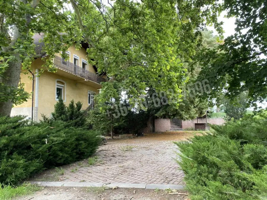 Albérlet, kiadó családi ház, Dabas