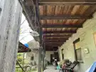 Pest megye - Dabas