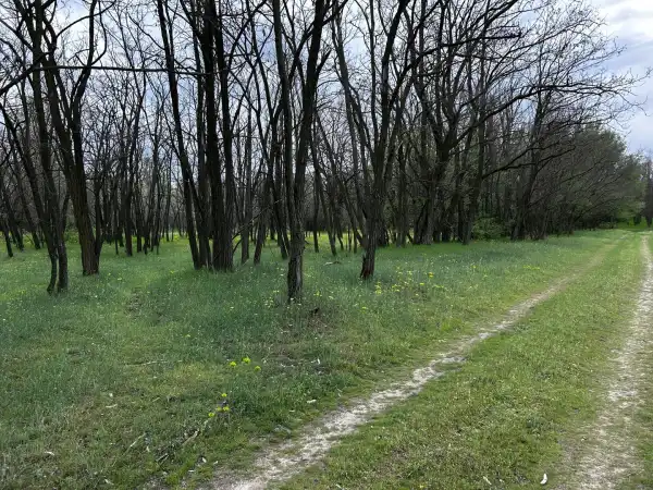 Eladó tanya, Lajosmizse 6.9 M Ft