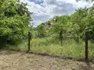 Pest megye - Tatárszentgyörgy